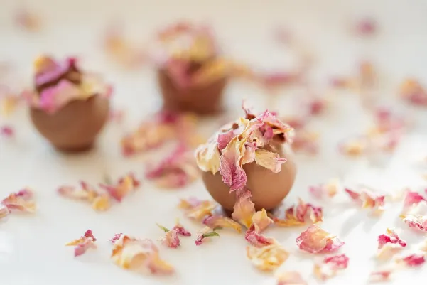 Bet9 Casino Application Android/iOS